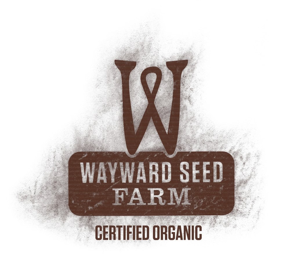 Logo for Wayward Seed Farm with a large “W” above the words “Wayward Seed Farm” and “Certified Organic” below, all in brown lettering on a white background.