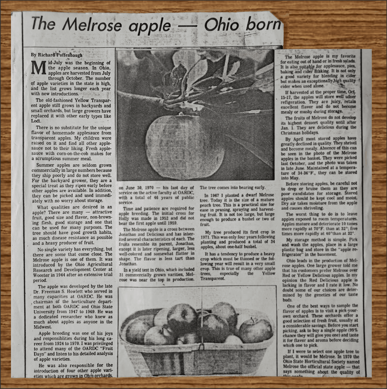 Newspaper article titled "The Melrose apple—Ohio born" features photos of Melrose apples on a tree branch and in a basket, describing the apple's origin and characteristics.